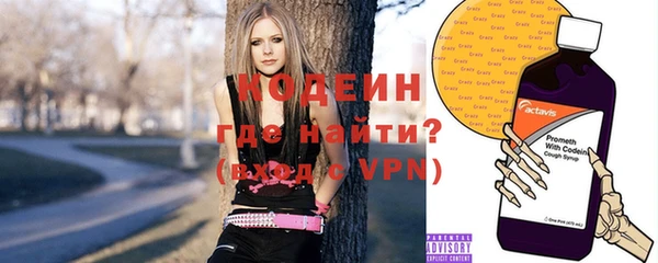 мдпв Елабуга