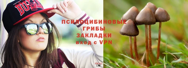 мдпв Елабуга