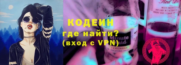 мдпв Елабуга