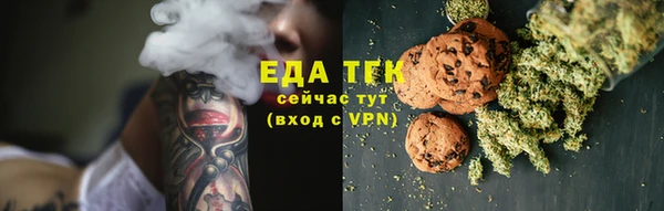 мдпв Елабуга