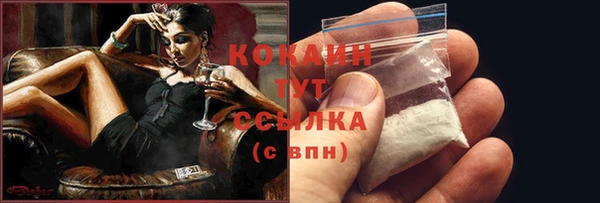 мдпв Елабуга