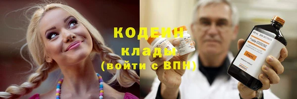 метамфетамин Ельня