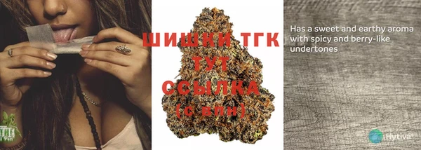 мдпв Елабуга