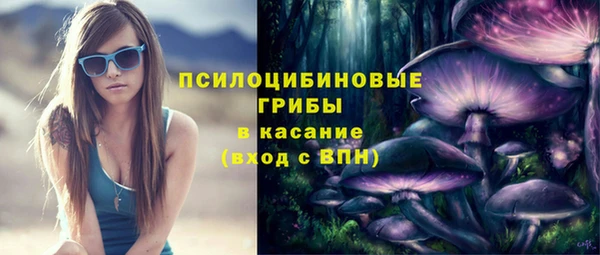 метамфетамин Ельня