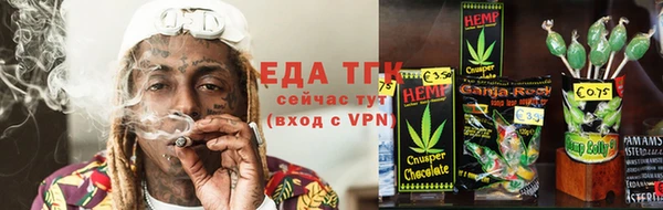 мдпв Елабуга