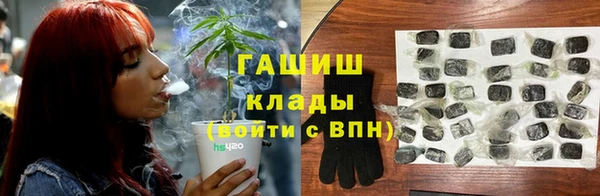 мдпв Елабуга