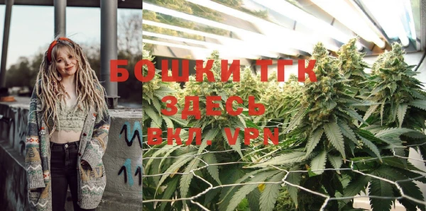 метамфетамин Ельня